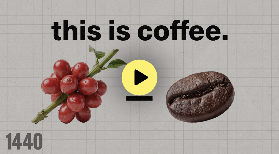 How Coffee Took Over the World